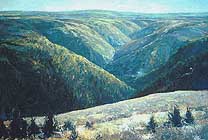 * Cape Breton Valley, 40 x 60 inches, oil on canvas