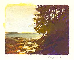 * Wolfe's Neck Point, 2-1/2 x 3-1/8 inches