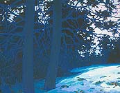 * Two Too-Blue Blue Spruce, 18 x 23 inches, oil on canvas, 1994