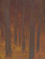 Ravine Trees at Dusk, 16 x 14