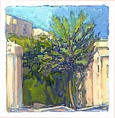 Naxos Palm, 2-1/2 x 2-1/2