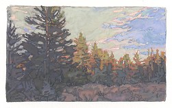 Lit Spruce, 1-1/2 x 2-5/8 inches