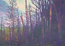 Changing Land, 39 x 54 inches, oil on canvas