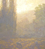 Sheep, Lesvos, 24 x 22