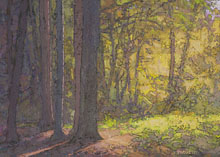 Open Light (study) 10 x 14