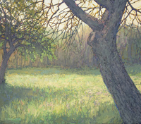 Spring in Provence I, 14 x 16