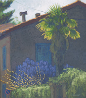 Palm Tree in Cucuron